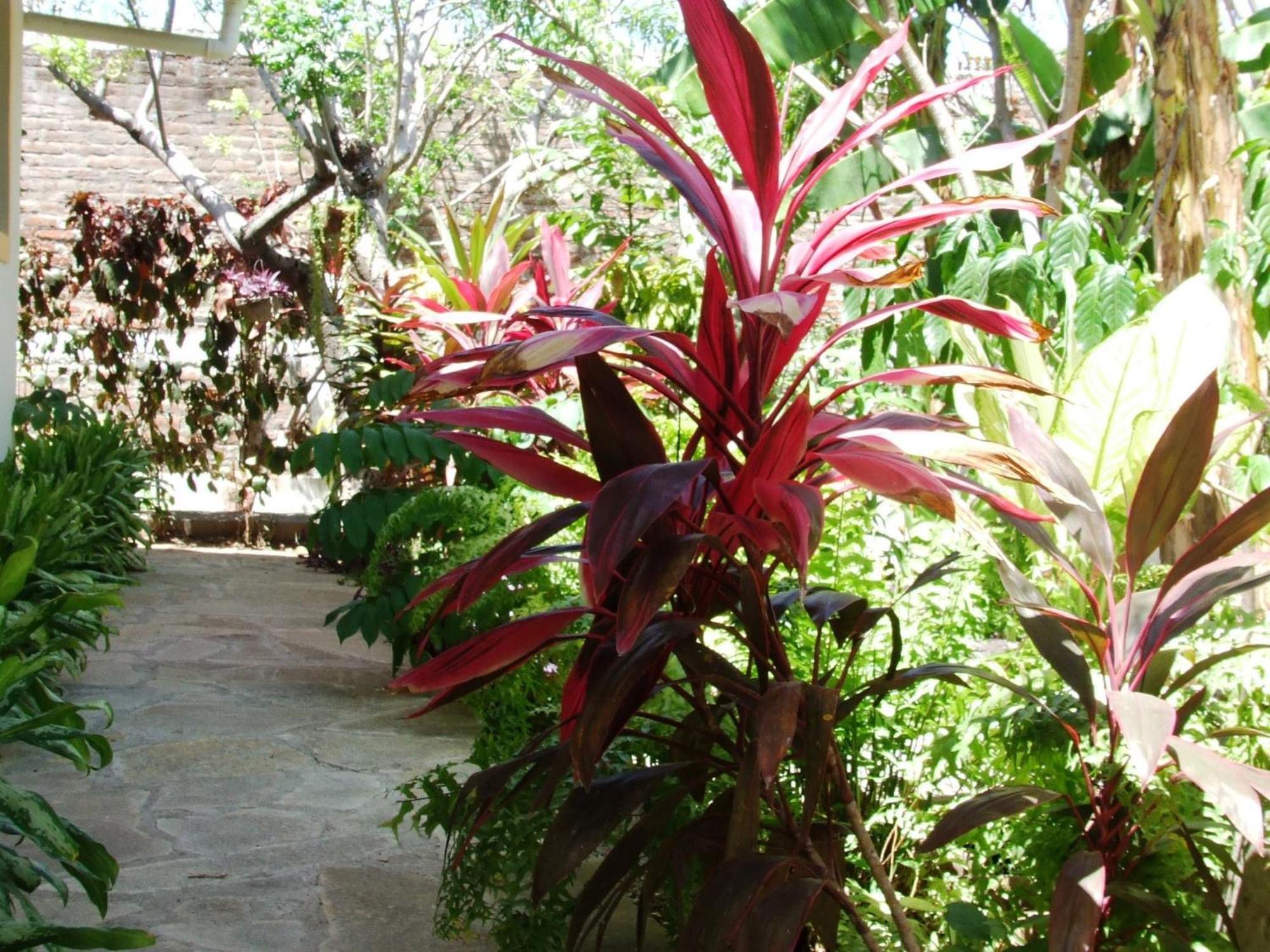 Casa Barcelona