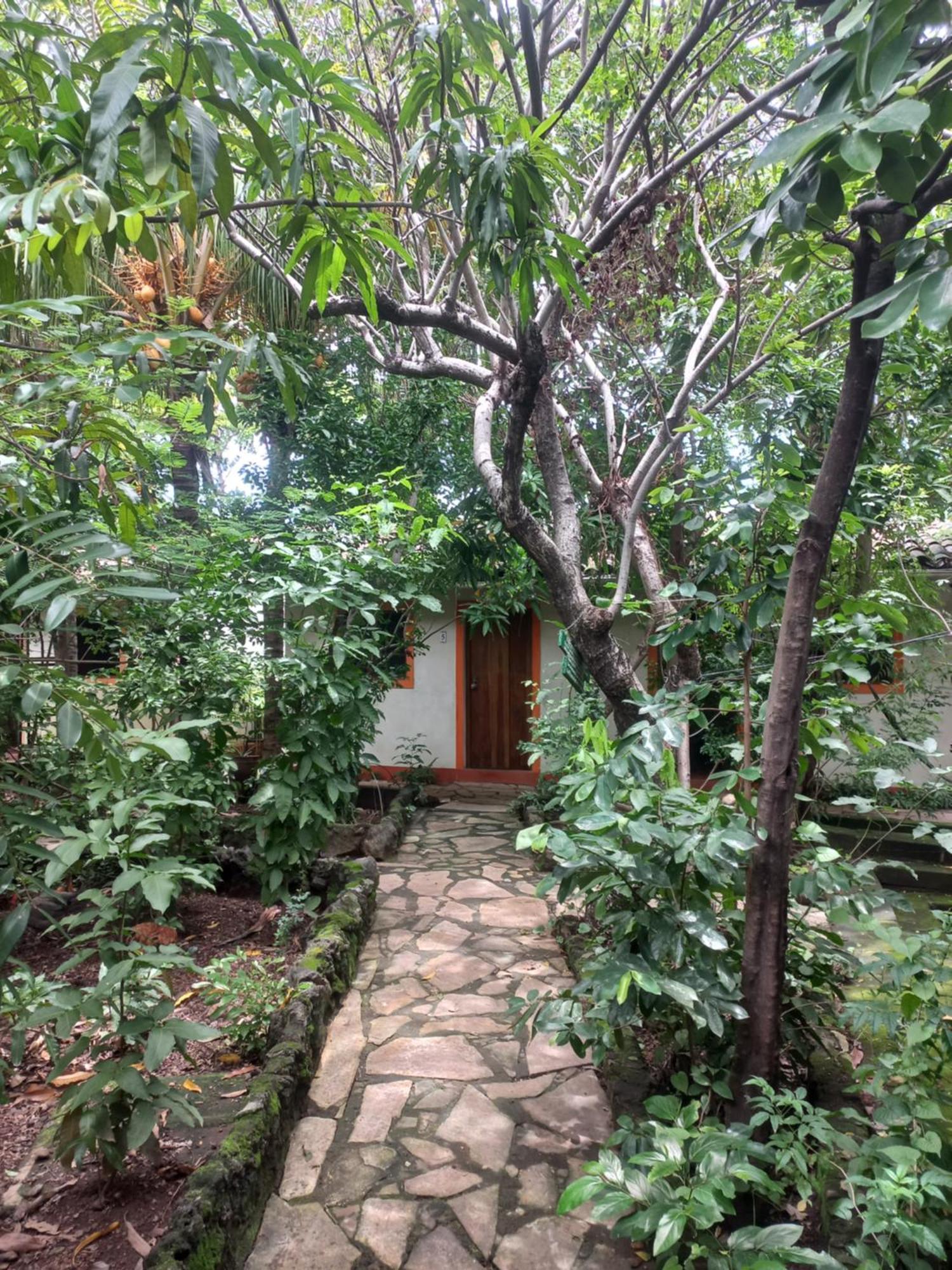 Casa Barcelona 2* Granada
